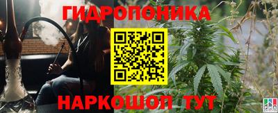 шишки Татарск