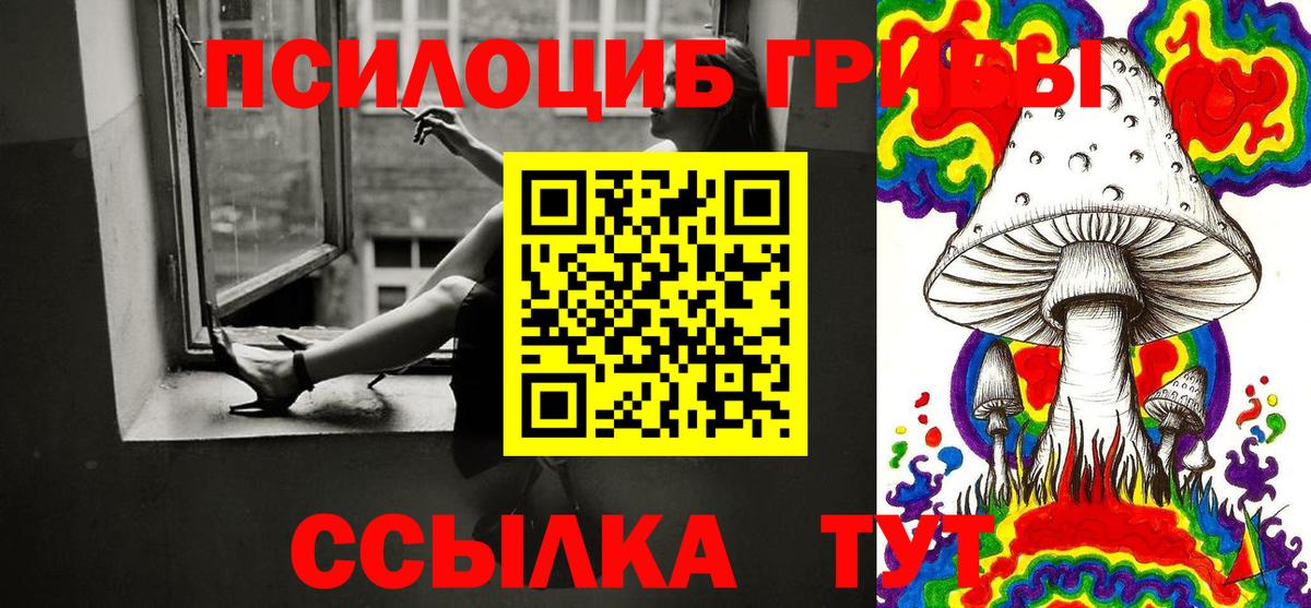 Псилоцибиновые грибы GOLDEN TEACHER Надым